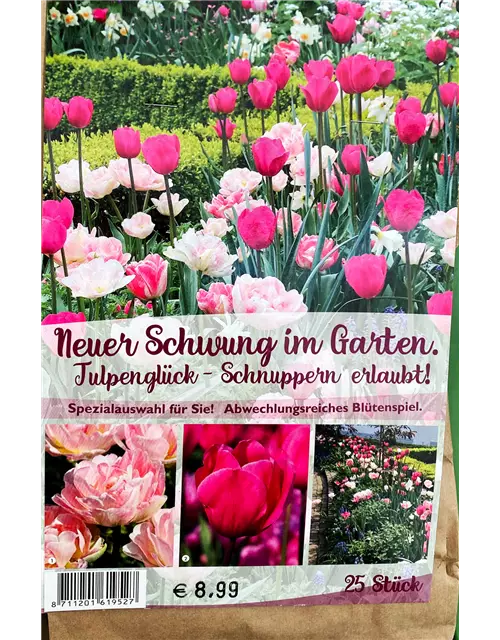 Tulpen-Mix 'Neuer Schwung im Garten'