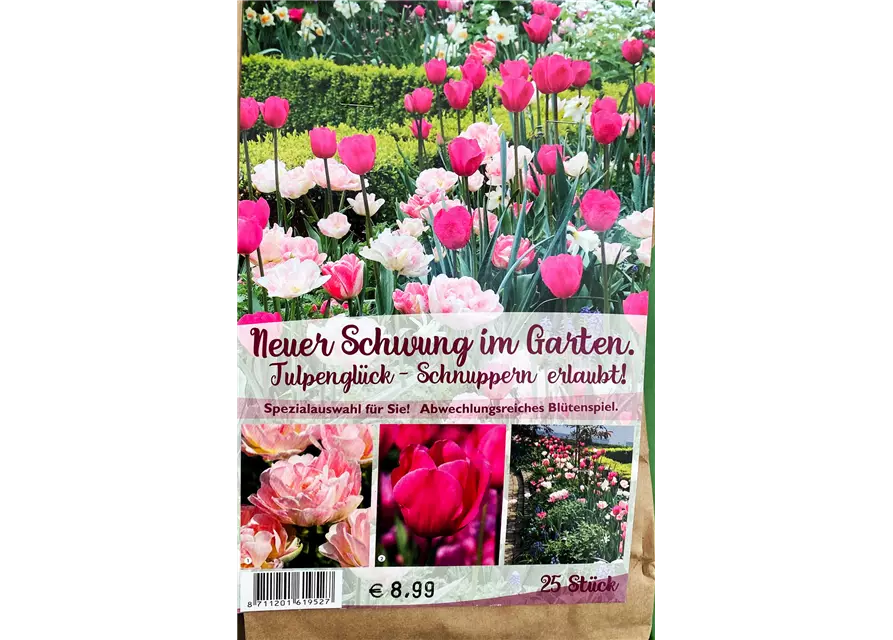 Tulpen-Mix 'Neuer Schwung im Garten'