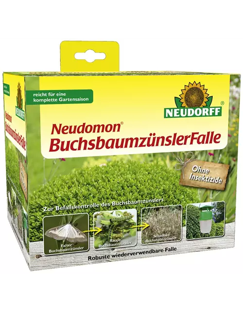 Neudomon Buchsbaumzünsler Falle