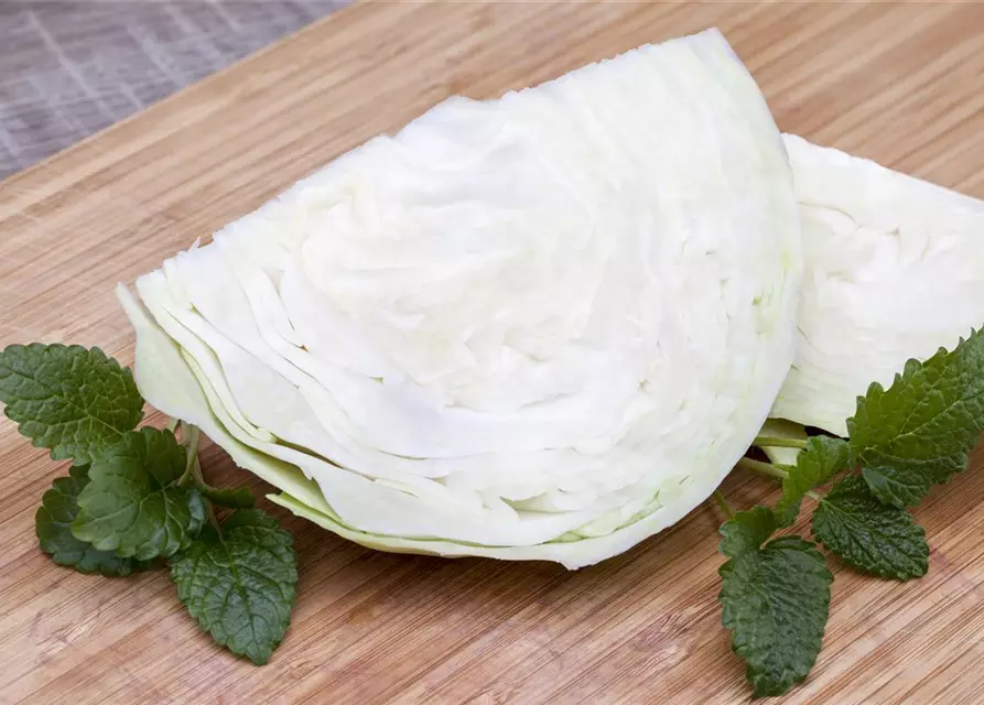 Brassica oleracea var. capitata f. alba