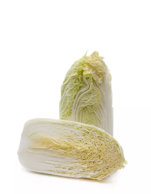 Brassica rapa subsp. pekinensis