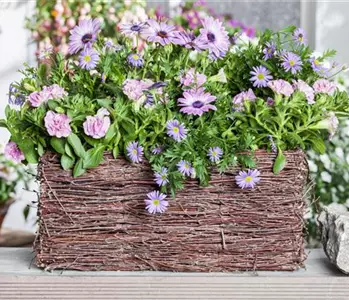 Frühling, Sommer, Herbst, Winter: der Balkon ist immer ein schöner Anblick