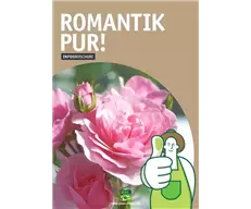 Romantik pur