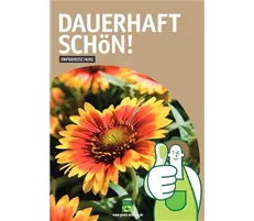 Dauerhaft schön