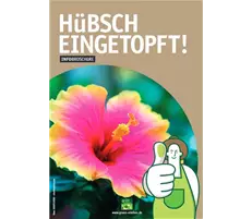 Hübsch eingetopft.JPG