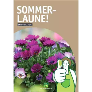 SOMMERLAUNE!