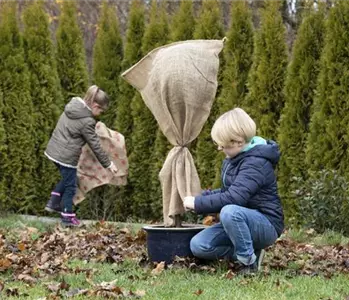 WIE GEHT...WINTERSCHUTZ?