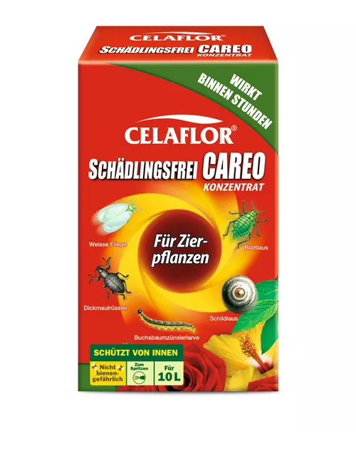 Celaflor Schädlingsfrei Careo Konzentrat Zierpflanze