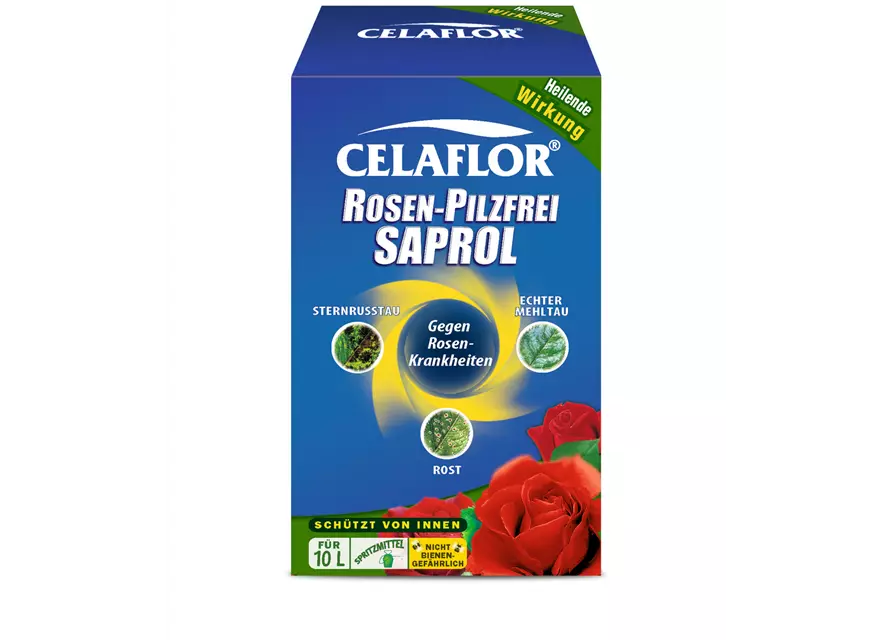 Celaflor Rosen-Pilzfrei Saprol Konzentrat