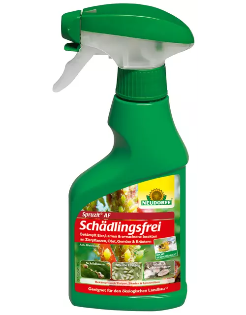 Spruzit AF Schädlingsfrei