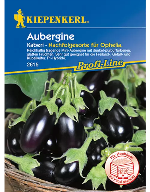 Aubergine Kaberi