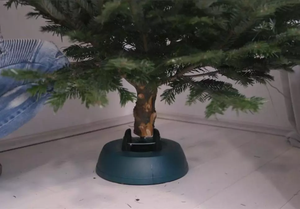 Den Weihnachtsbaum richtig aufstellen