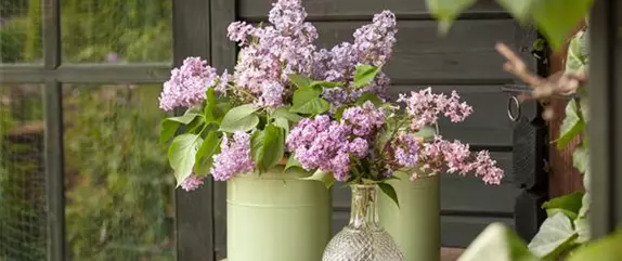 Schnittblumen aus dem eigenen Garten – den Garten ins Haus holen