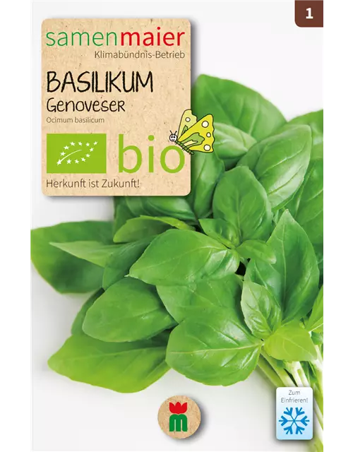 BIO Samen Basilikum