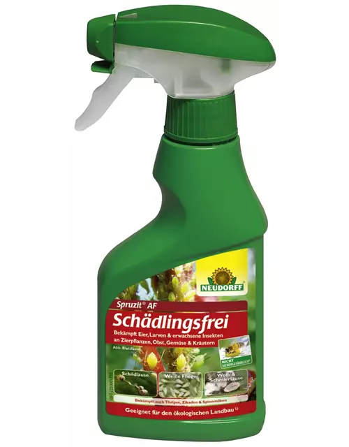 Spruzit Trauermückenfrei Schädlingsfrei Sprühmittel 500 ml