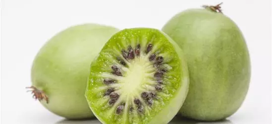 Mini-Kiwi