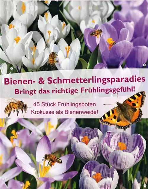 Krokusse als Bienenweide