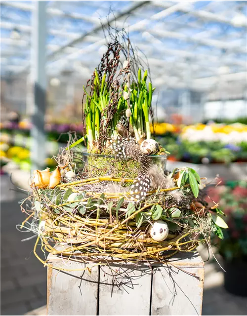 Osternest mit Frühlingsblüher