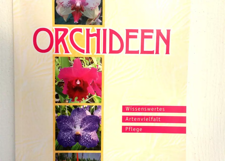 Orchideenfibel