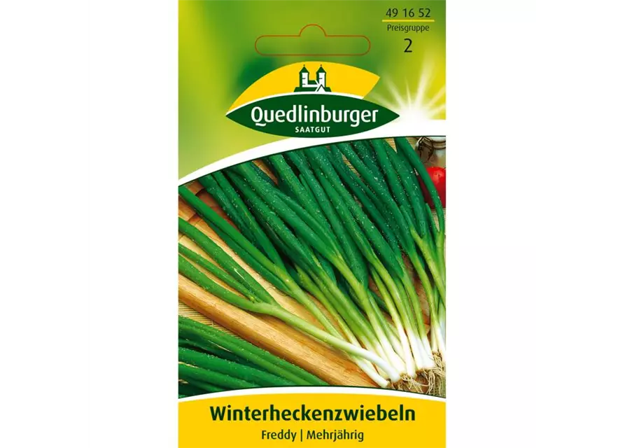 Winterheckenzwiebeln 'Freddy'