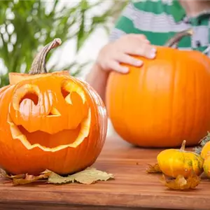 Halloween im eigenen Garten