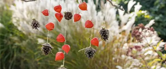 Ein herbstliches Windspiel aus Physalis und Tannenzapfen