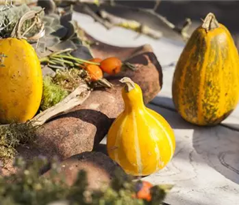 Es wird bunt! Herbst-Deko im Haus